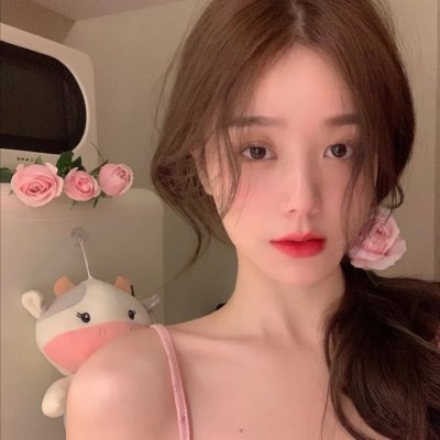 藏獒多吉
